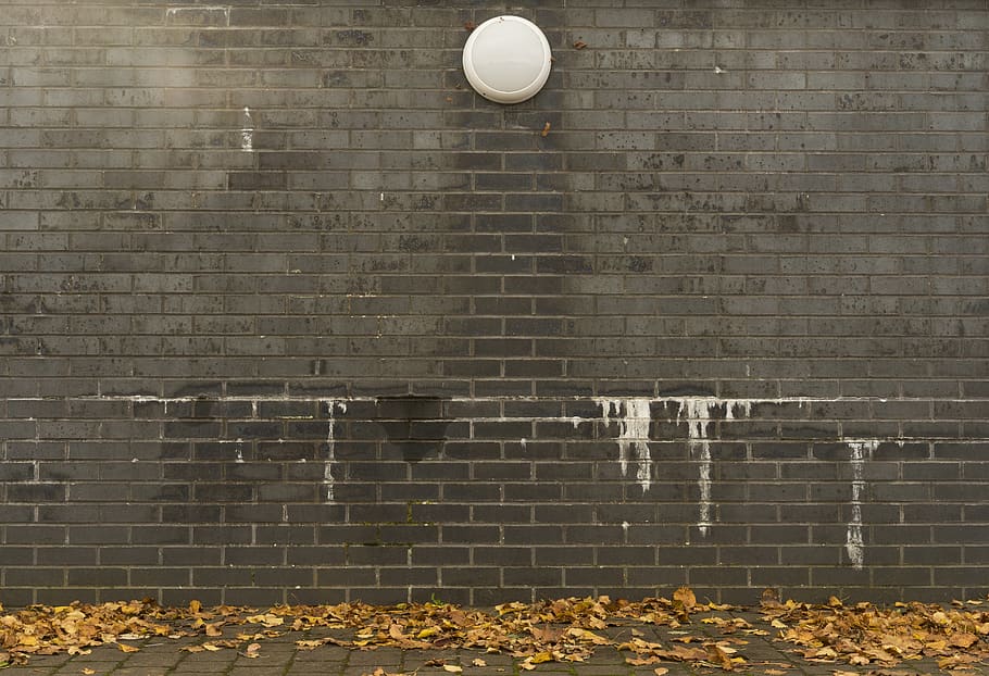 wall, bricks, fall, autumn, leaves, grey bricks, gray bricks HD wallpaper