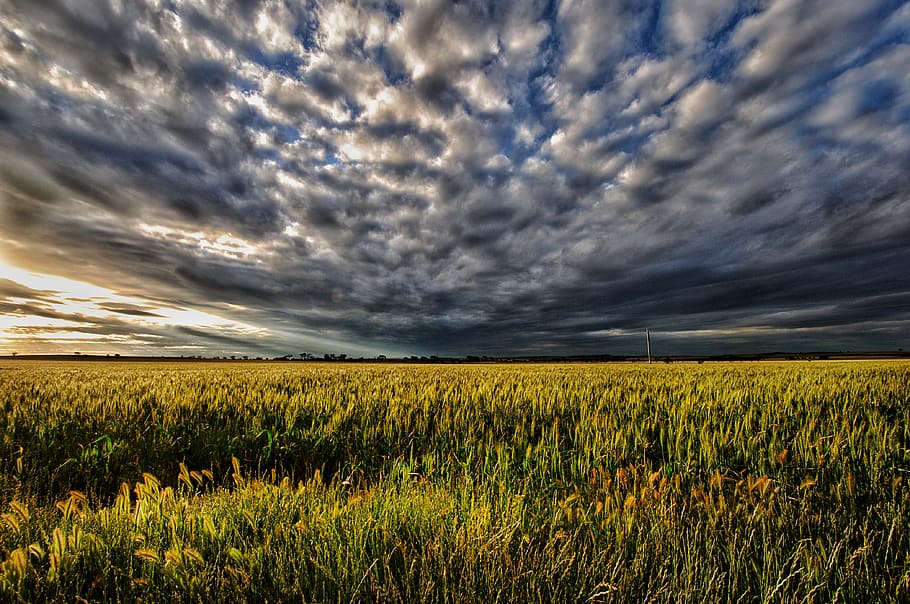 sunset, moody, pasture, storm, weather, cloud, scene, evening HD wallpaper