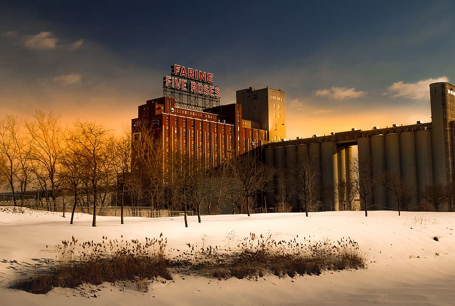 Farine Five Roses Building, architecture, cold, daytime, zing, HD wallpaper