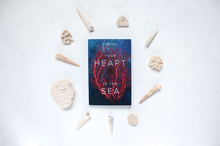 Your Heart is the Sea book surrounded with seashells, home decor, HD wallpaper