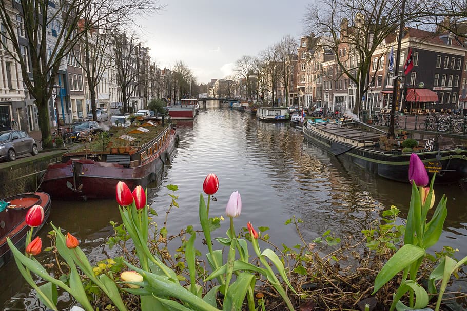 amsterdam, netherlands, urban landscape, river, canal, barge, HD wallpaper