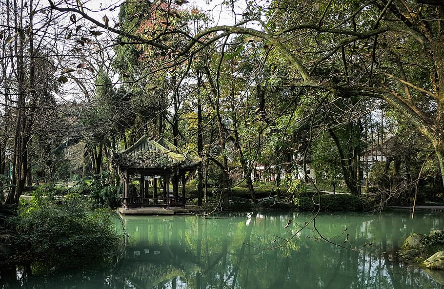 water, trees, branches, green, nature, Jade Pavilion, Dujiangyan HD wallpaper