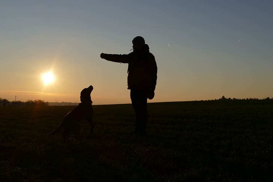sundown, people, dog, sky, clouds, outdoor, sunset, color, vacation HD wallpaper