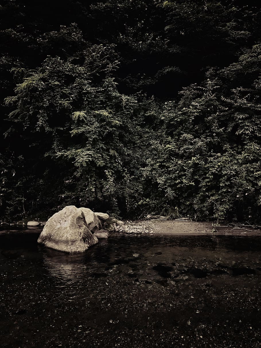 Monochrome Photo of a River, black-and-white, boulder, environment HD wallpaper