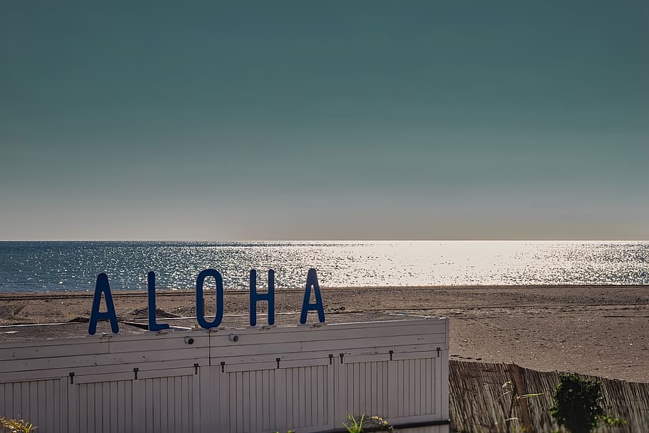 aloha, hawaii, sign, hawaiian, nature, ocean, vacation, beach, HD wallpaper