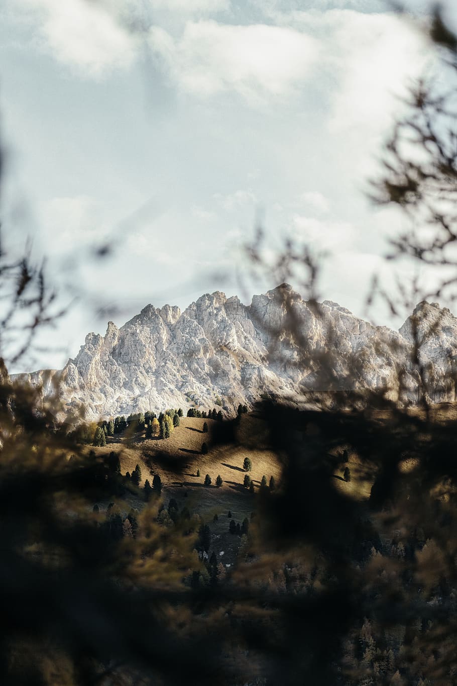 Landscape Photography of Mountain, daylight, environment, forest HD wallpaper