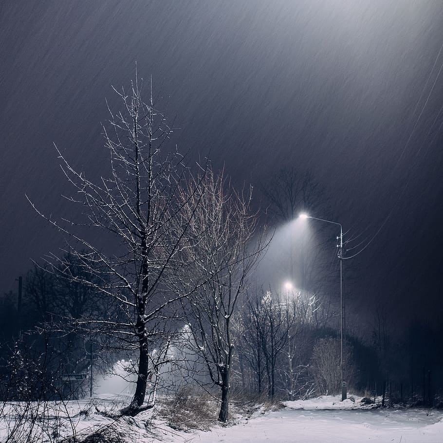 snow, dark, night, trees, lights, lamp posts, sky, outdoors HD wallpaper