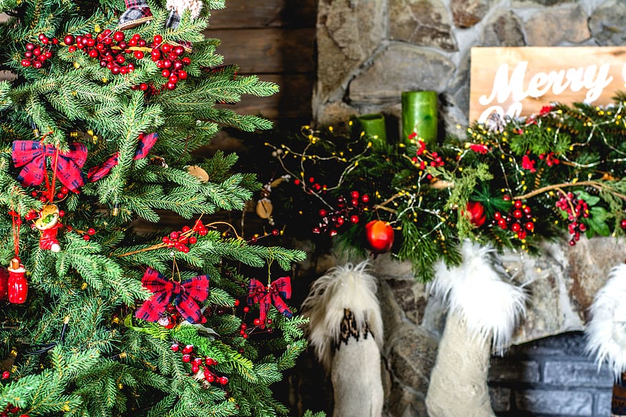 plant, celebration, christmas, decoration, holiday, christmas decoration HD wallpaper