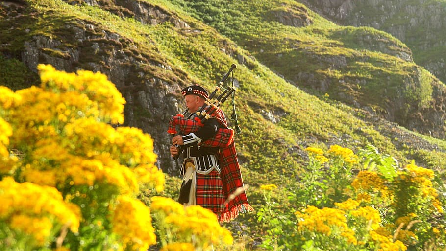 Photo of a Man in Red, Black, and White Plaid Traditional Suit on Yellow Flower Field HD wallpaper