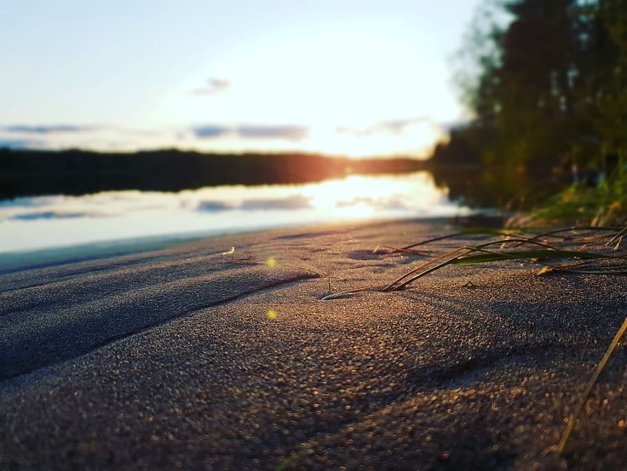 seashore near green tree, nature, outdoors, light, flare, sweden HD wallpaper
