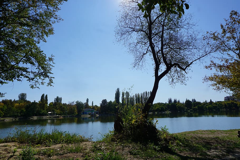 bulgaria, stara zagora, water, fall, trees, home, plant, lake HD wallpaper