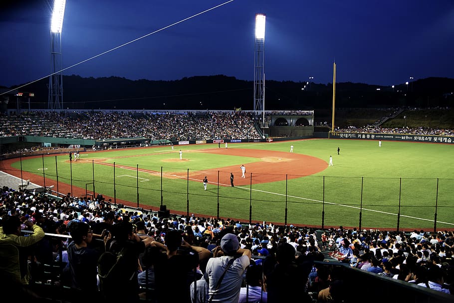 crowd, stadium, sport, group of people, real people, large group of people HD wallpaper