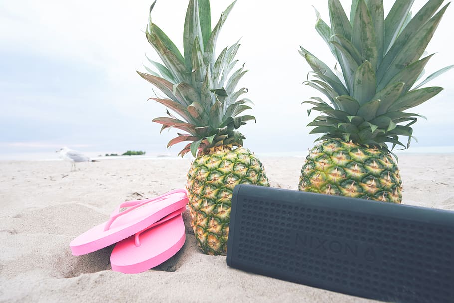 beach, land, fruit, sea, healthy eating, nature, sand, water, HD wallpaper