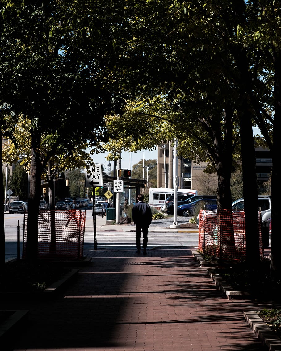 man standing near trees, path, person, human, pedestrian, tarmac HD wallpaper