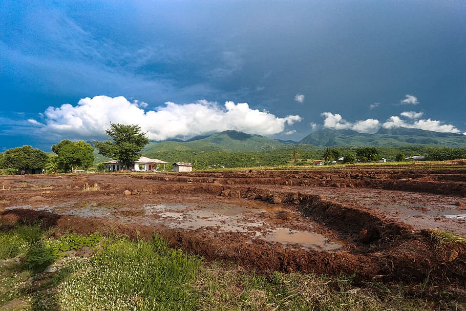 Photography of Empty Ricefield, clouds, countryside, cropland HD wallpaper