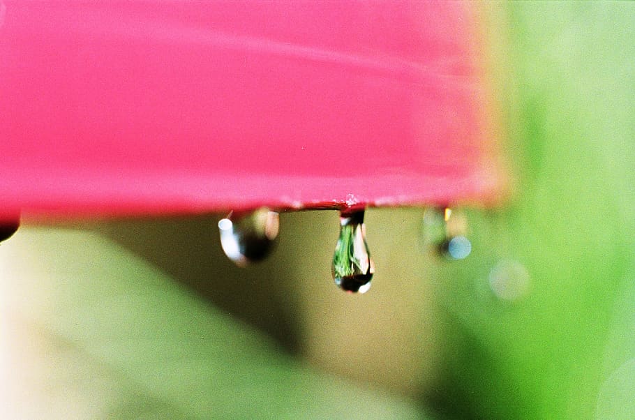 close-up, selective focus, no people, focus on foreground, drop HD wallpaper