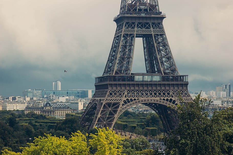 Eiffel tower surrounded by trees on a cloudy day, arc, architectural