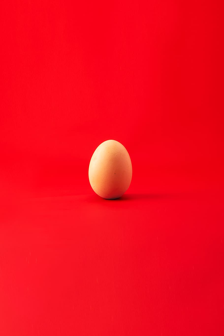 brown egg, red, food and drink, colored background, healthy eating HD wallpaper
