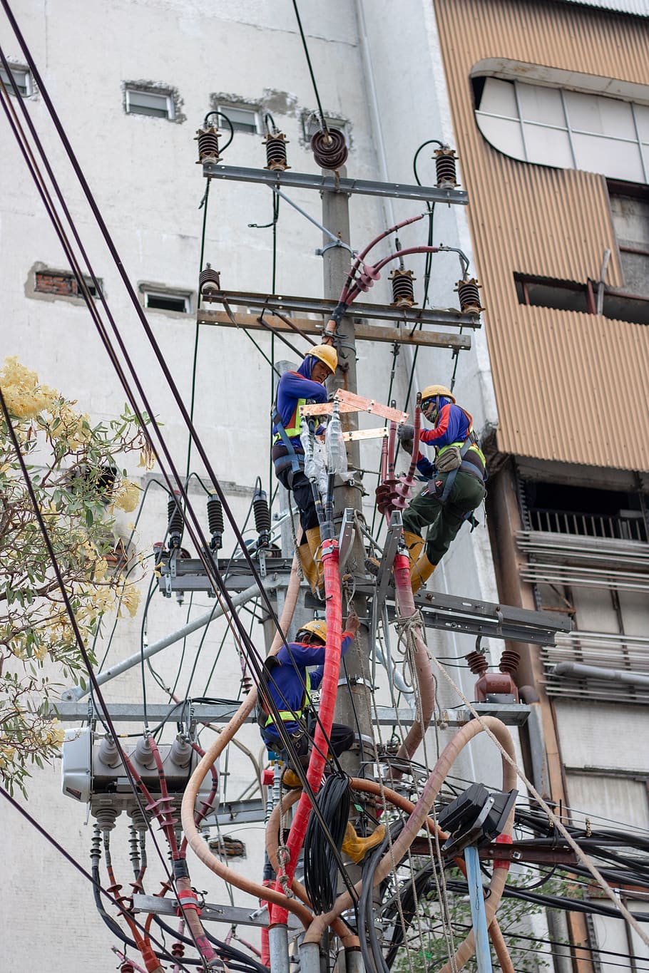 three people climbing on electric post, human, person, jl embong malang HD wallpaper