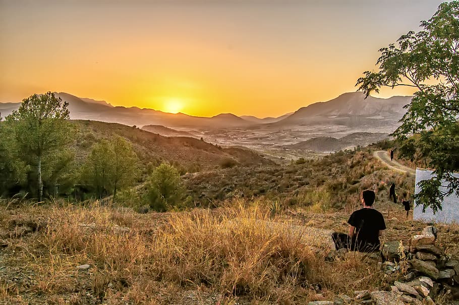 Man Sitting in Stone Near Green Tree, backlit, clouds, daylight HD wallpaper