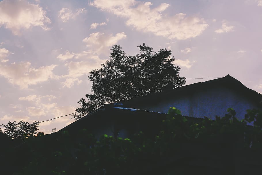 tree, sky, cloudy, plant, built structure, architecture, building exterior HD wallpaper