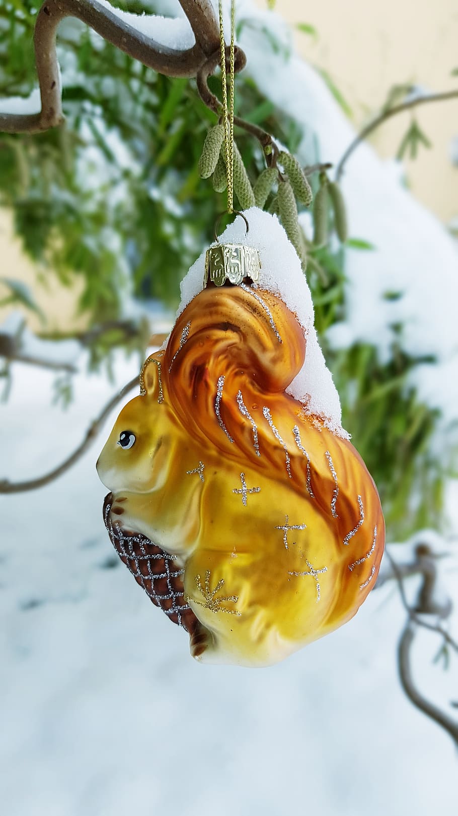 winter, snow, hazel, deco, christmas, squirrel, animal themes HD wallpaper