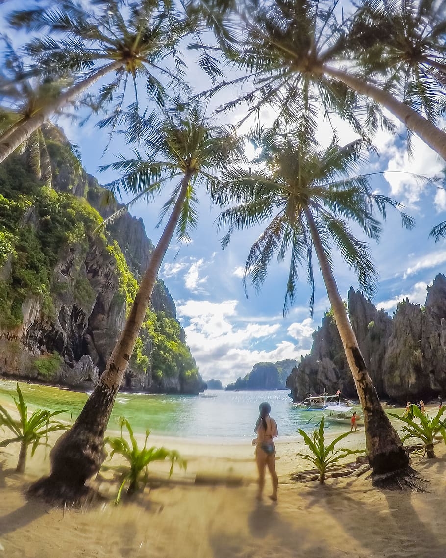 philippines, el nido, palawan, ocean, beach, island, palm trees, HD wallpaper