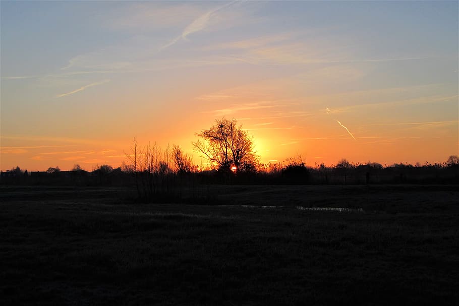 sunrise, hiking, silhouette, tree, landscape, dim, winter, nature HD wallpaper