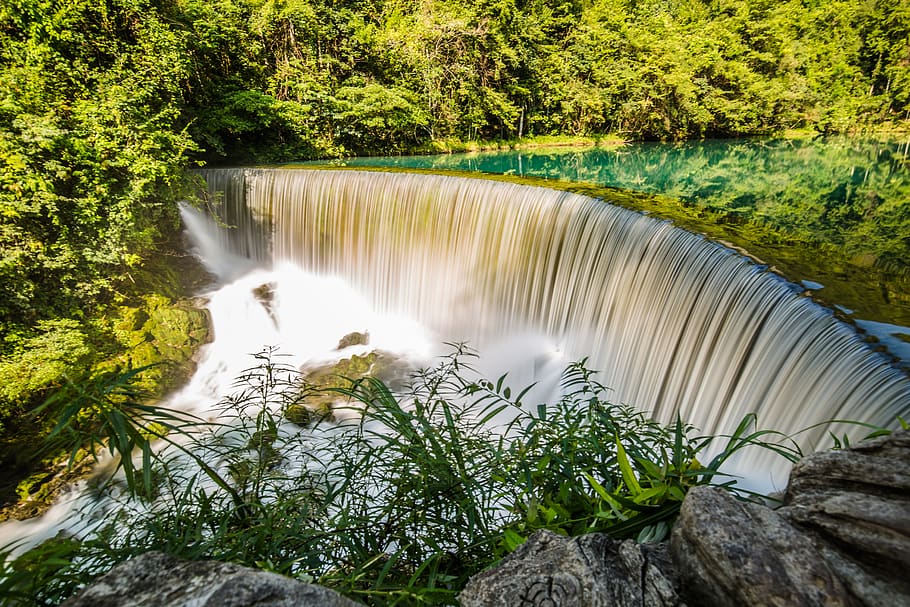 green trees, flora, plant, water, river, outdoors, waterfall HD wallpaper