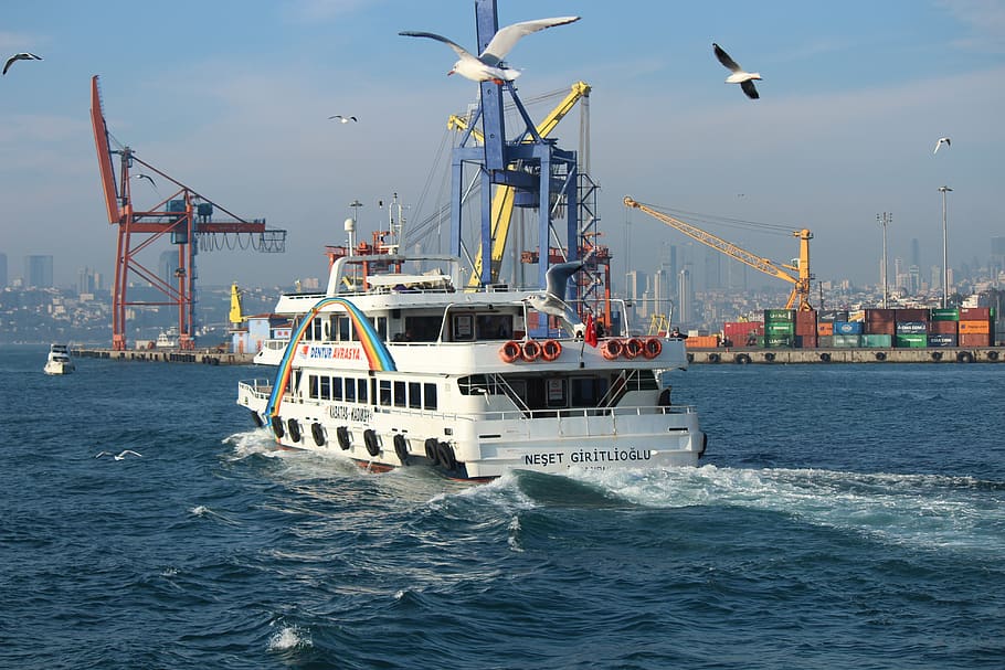 v, ship, birds, seagull, gulls, marine, port, boat, water, clouds HD wallpaper
