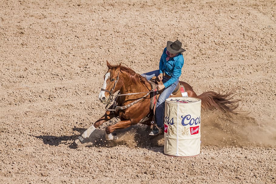 Wallpaper ID 1023608  4K trot hat western horses riding rodeo real  people co barrel domestic one animal day ride mammal domestic  animals competition animal wildlife free download