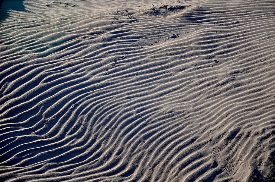 sand, beach, pattern, drawing, wind, parallelism, relief, erosion HD wallpaper
