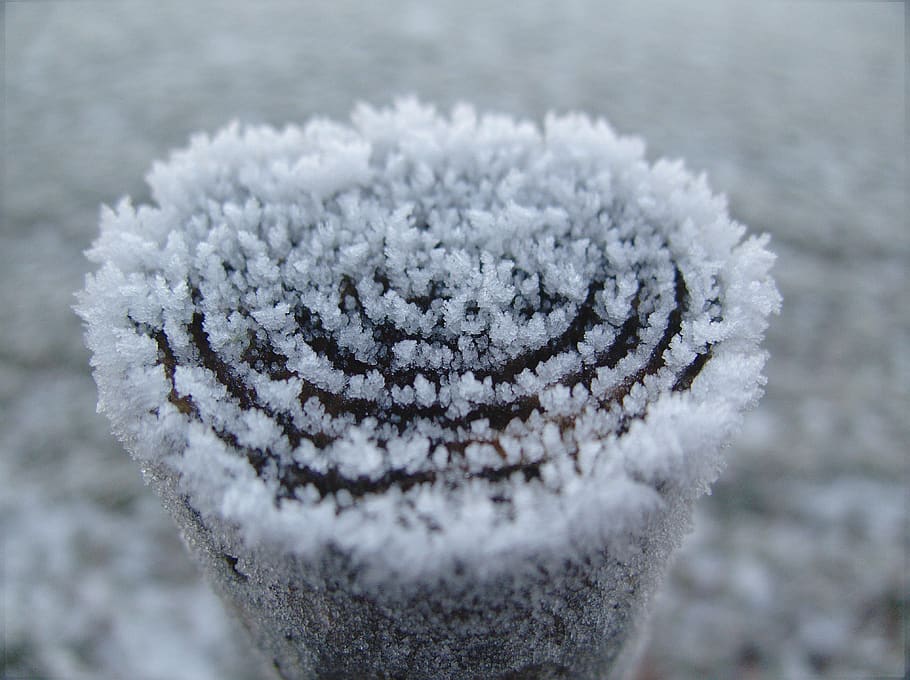 Rolled White Fleece Textile, close-up, cold, frost, ice, macro HD wallpaper
