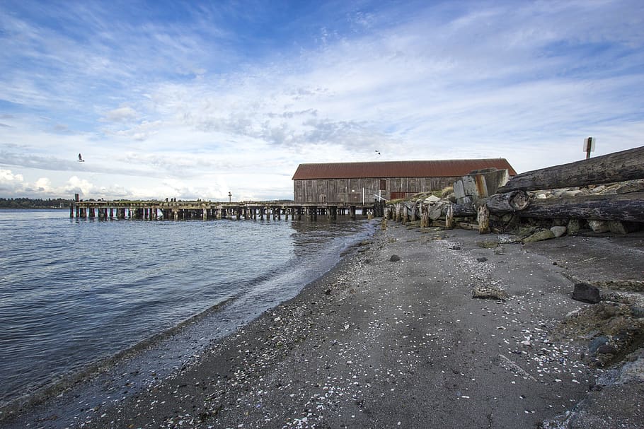 beach dock and seashore view, water, pier, waterfront, port, blaine, HD wallpaper