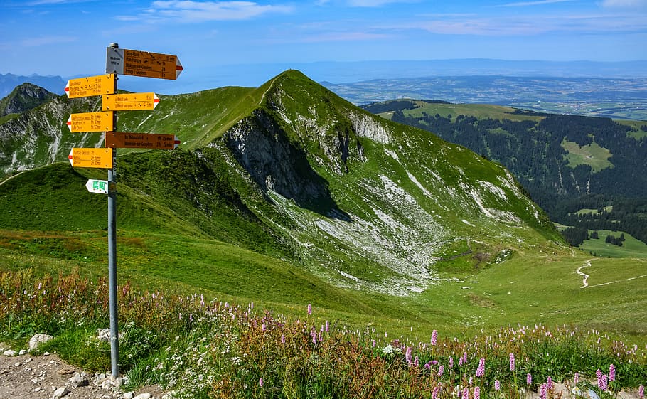 pedestrian path, mountain, landscape, nature, mountains, pasture HD wallpaper
