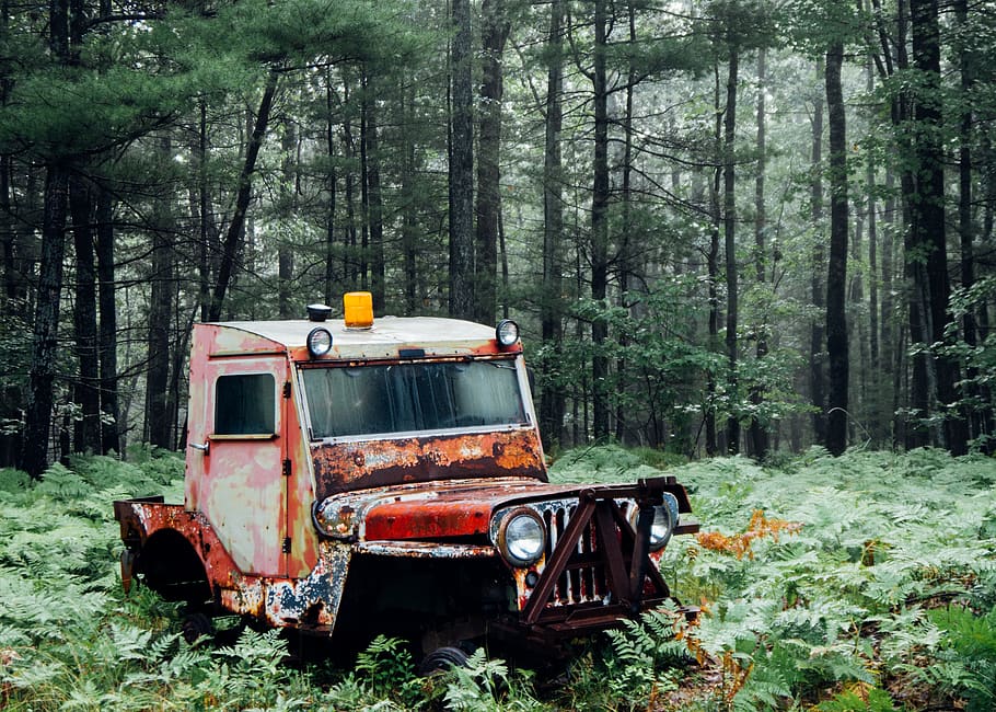 abandoned, jeep, woods, explore, truck, mode of transportation HD wallpaper