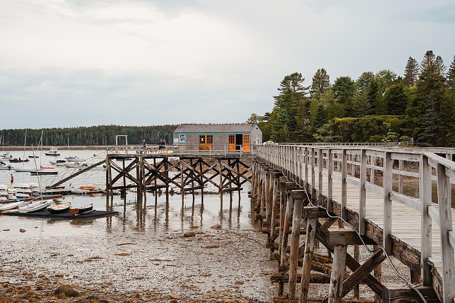 brown-and-white-wooden-dock.jpg