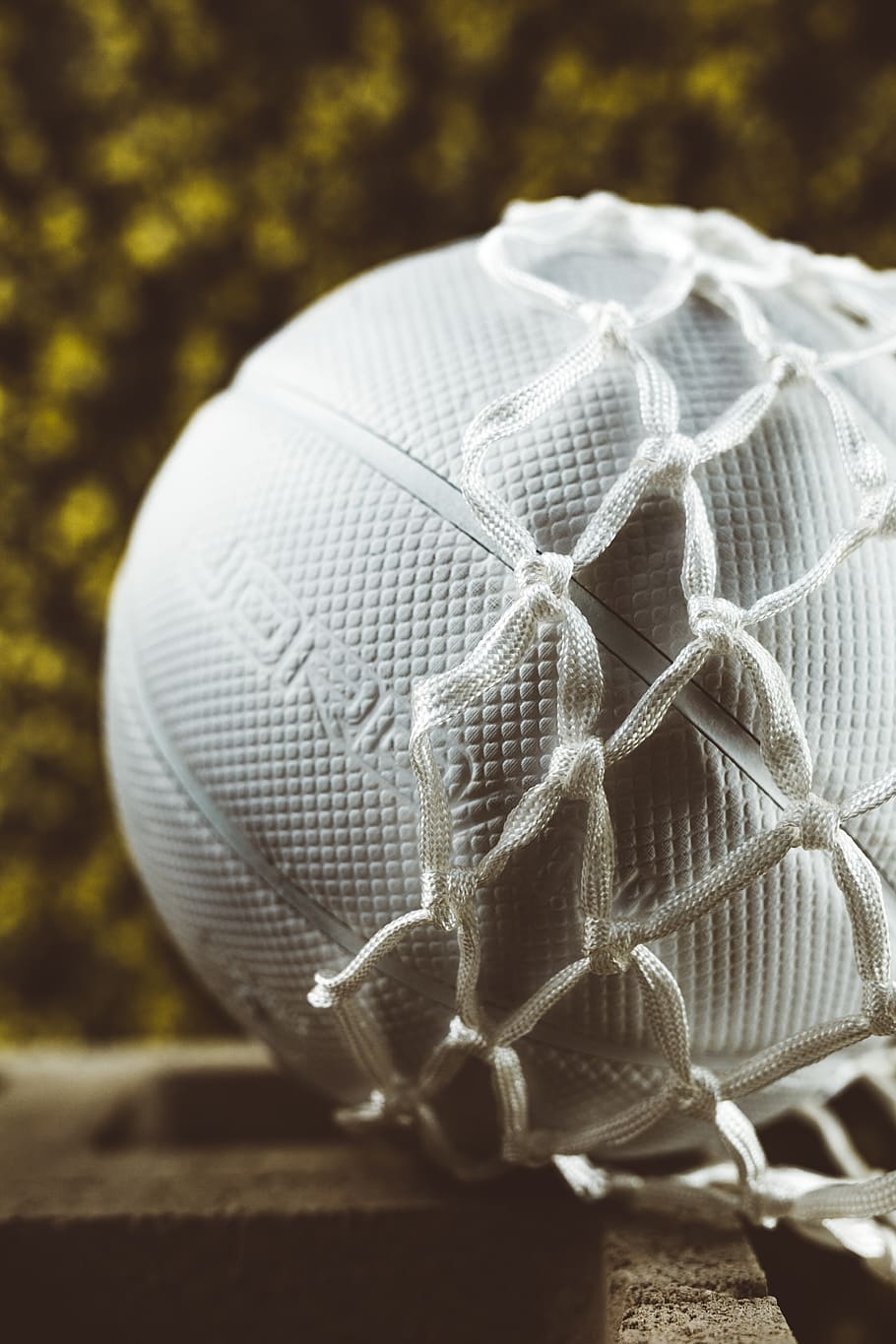 whute ball, clothing, apparel, sphere, reptile, animal, snake HD wallpaper