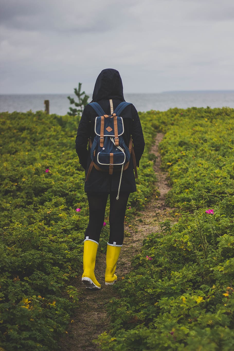Person in Black Hooded Jacket Walking on Pathway Under Cloudy Sky HD wallpaper