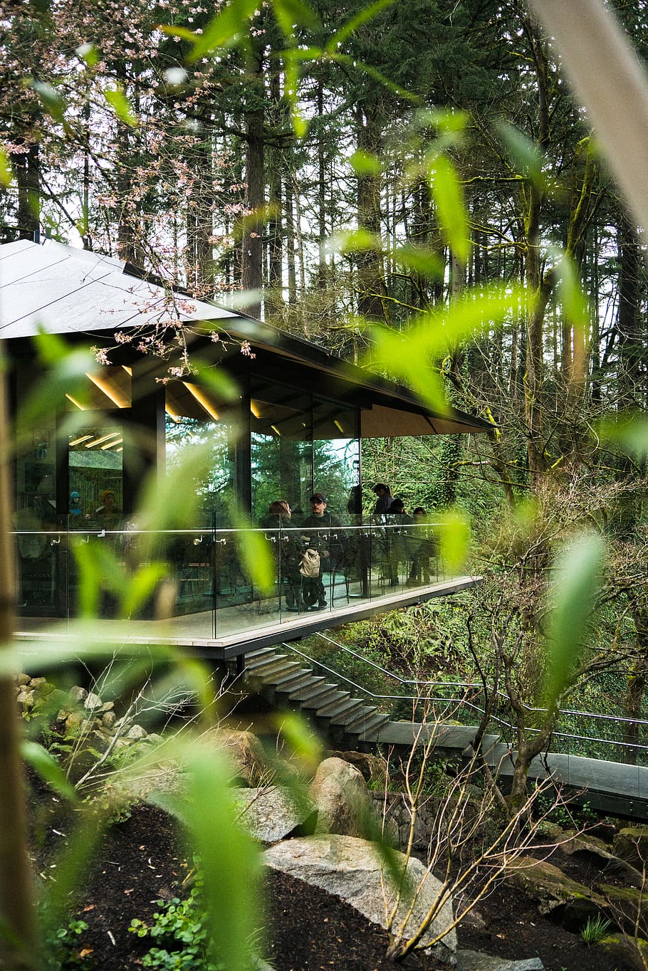 garden, pdx, pnw, cafe, outside, trees, japanese, plant, architecture HD wallpaper