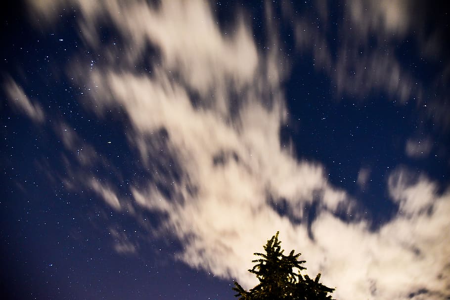 green tree over white clouds surrounded with stars, astronomy HD wallpaper