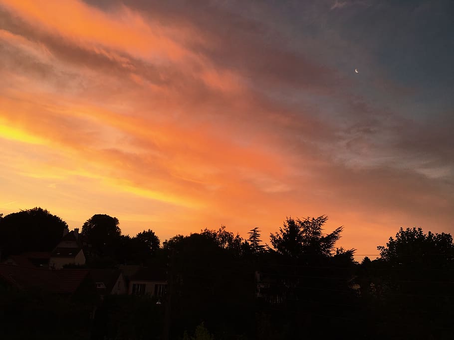 evening, sky, orange, red, pink, moon, cloud - sky, tree, plant HD wallpaper