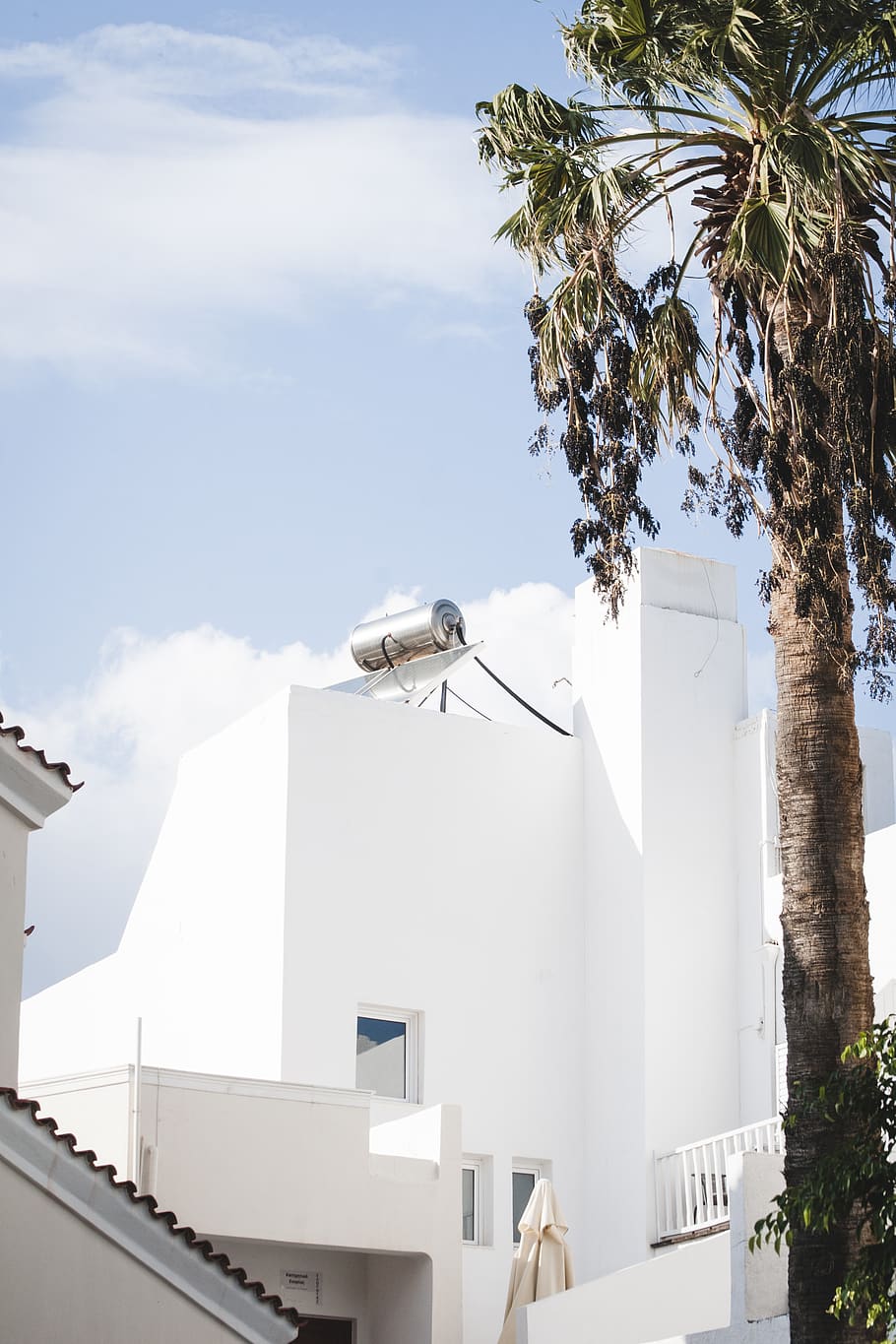 tree, plant, elounda, greece, building, antenna, electrical device HD wallpaper