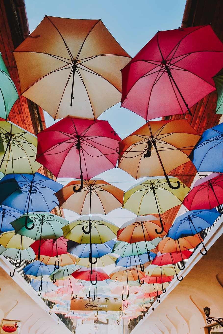 Low Angle View Of Assorted Coloured Umbrellas, colorful, colourful HD wallpaper