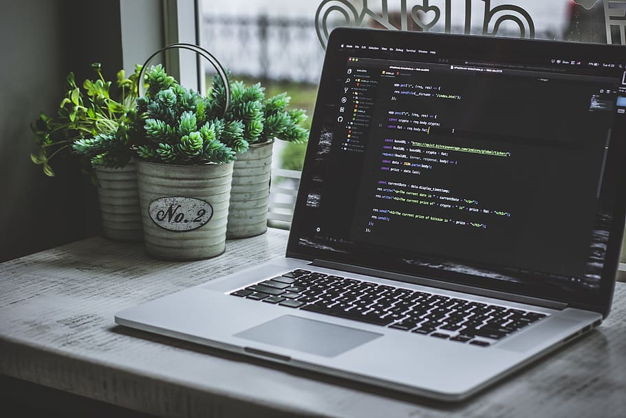 turned-on gray laptop computer, technology, communication, potted plant HD wallpaper