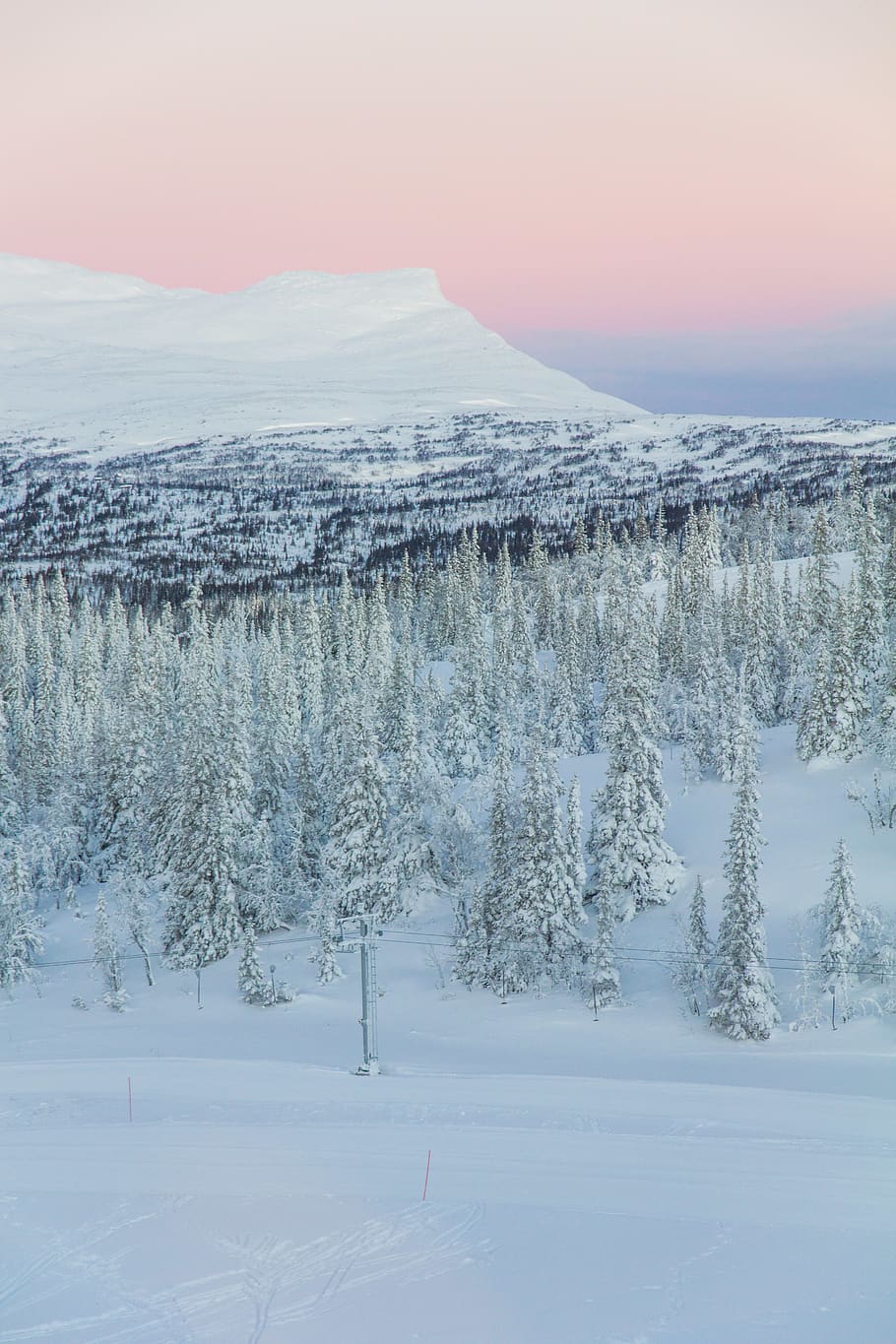 sweden, åre, trees, mountain, sunrise, snow, cold temperature HD wallpaper