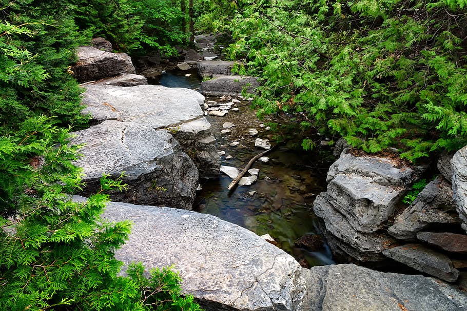 calm, background, boulder, path, rubble, travel, conifier, wilderness HD wallpaper