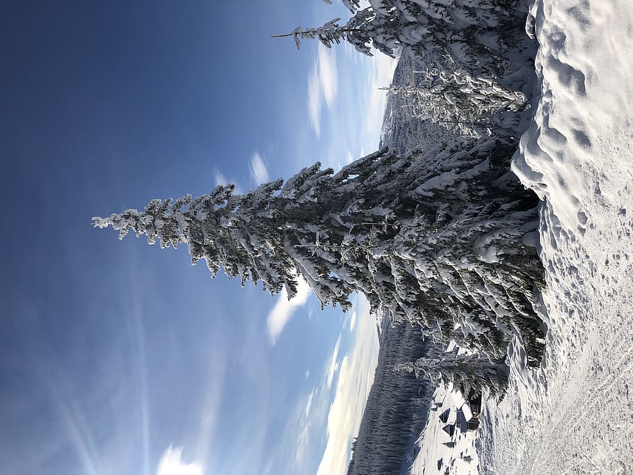 cluj, Mountains, Trees, Blue, Romania, Snow, Winter, beauty in nature HD wallpaper