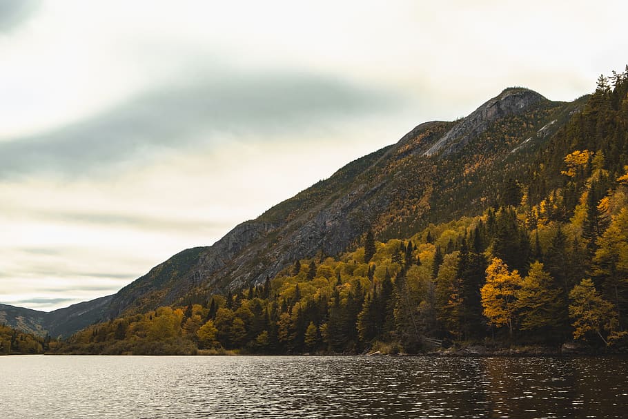 canada, quebec, trees, mountain, autumn, fall, forest, water HD wallpaper