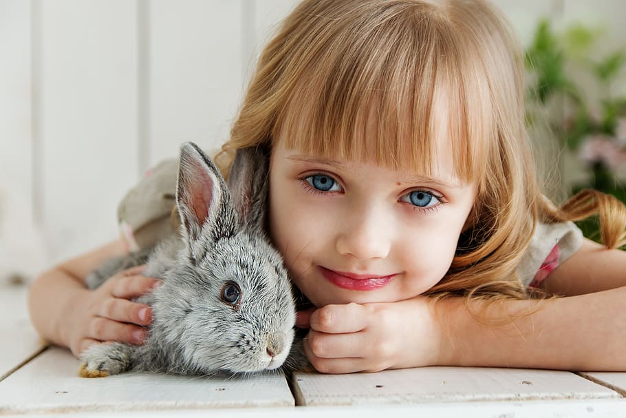 Girl Lying on White Surface Petting Gray Rabbit, adorable, animal, HD wallpaper